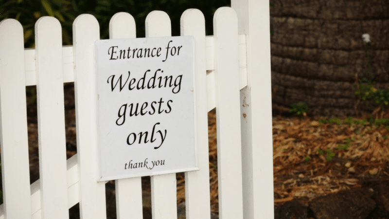 wedding guests