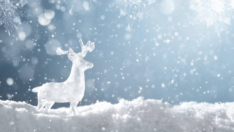 How to do Christmas on a budget