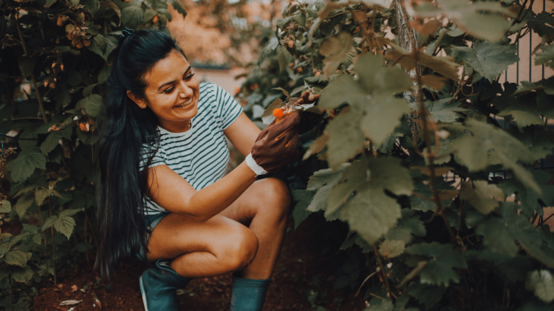 make money from your garden