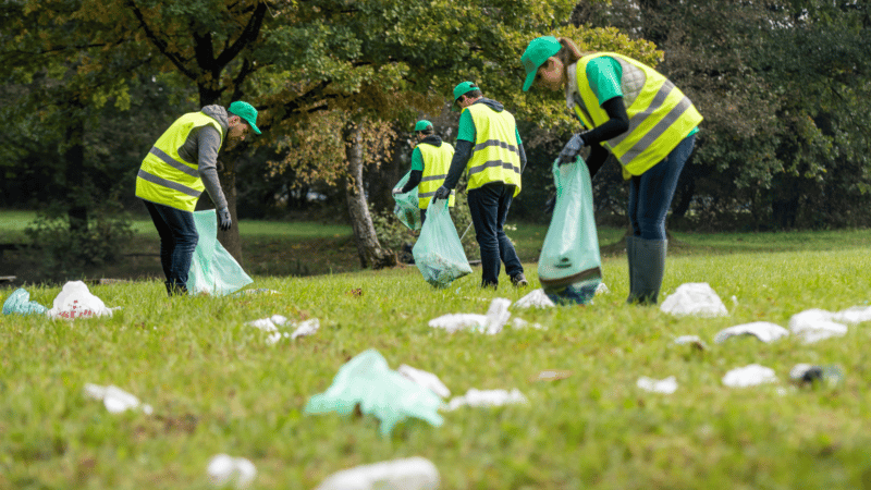 festival clean up
